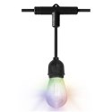 Ledvance SMART+ WiFi Outdoor String LED Lights RGBW