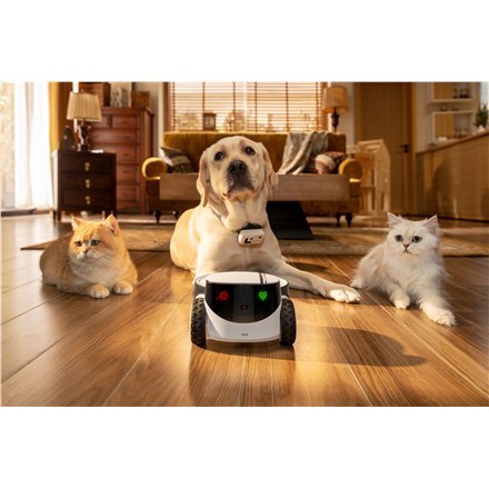 Enabot ROLA PetPal Family Robot IP Camera, White Enabot ROLA PetPal Family Robot IP Camera, White