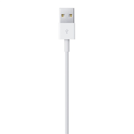 Apple | Męski | 4-pinowy USB typu A | Męski | Apple Lightning | 2 m Apple | Męski | 4-pinowy USB typu A | Męski | Apple Lightning | 2 m
