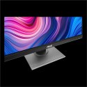 ASUS ProArt | PA248QV | 24,1 cala | IPS | WUXGA 1920 x 1200 | 300 cd/m² | HDMI, VGA, DisplayPort | Wysokość, pivot (obrót), swiv