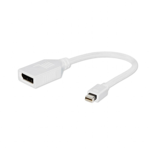 Gembird | Cablexpert DisplayPort adapter - 10 cm